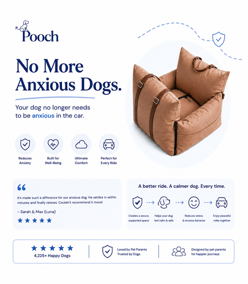 The Pooch Travel Bed